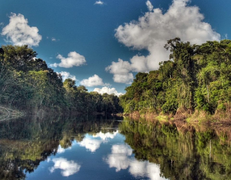 Rio Amazonas Momon Iquitos Amazonia Peru